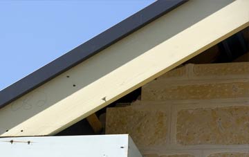 Top Oth Lane fascia repairs