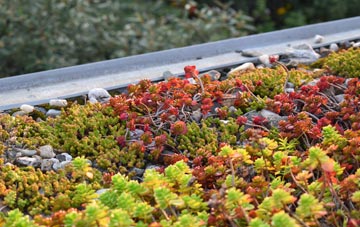 the cost of Top Oth Lane green roof installation
