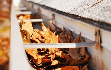 Top Oth Lane gutter cleaning companies