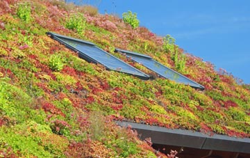 Top Oth Lane living roof systems